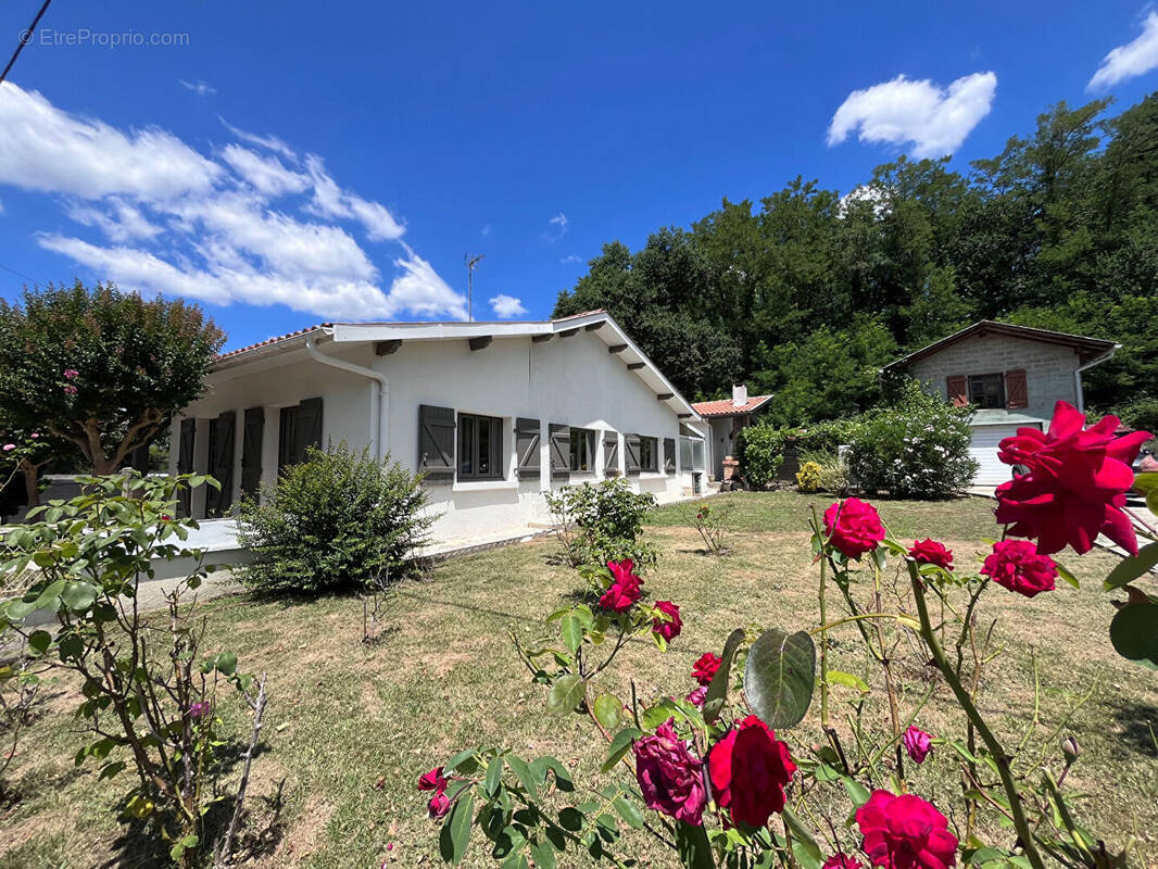 Maison à MEILHAN