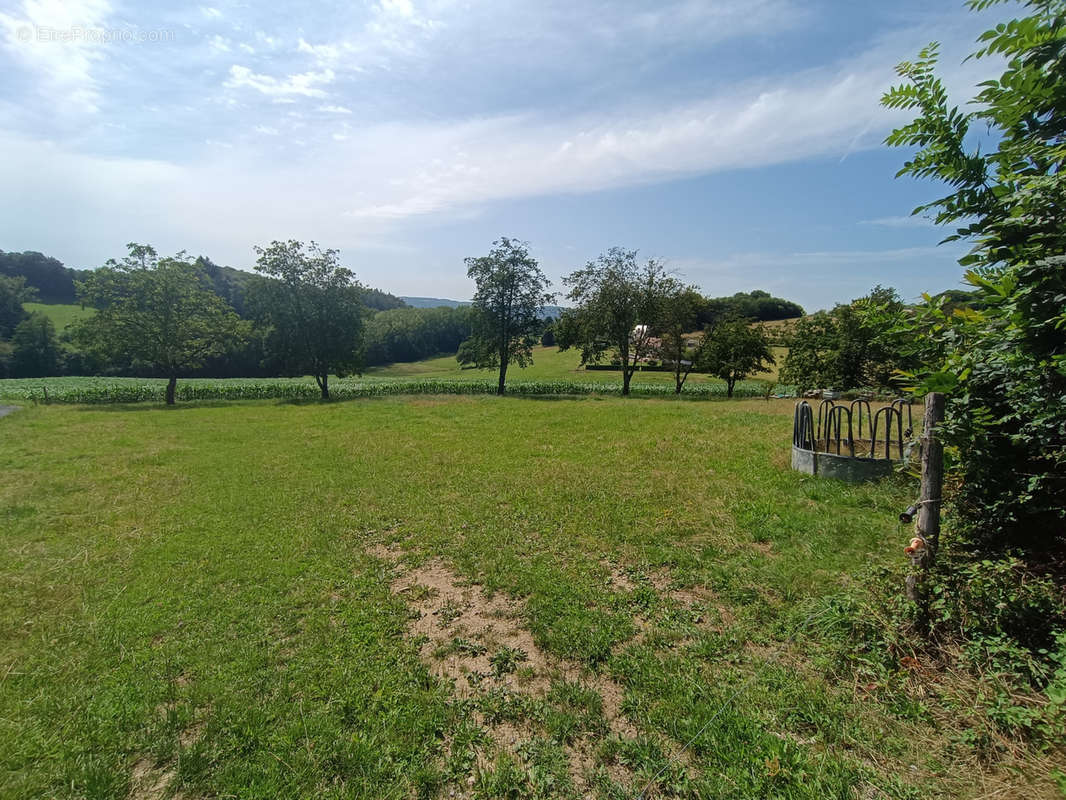 Terrain à SAINTE-FORTUNADE