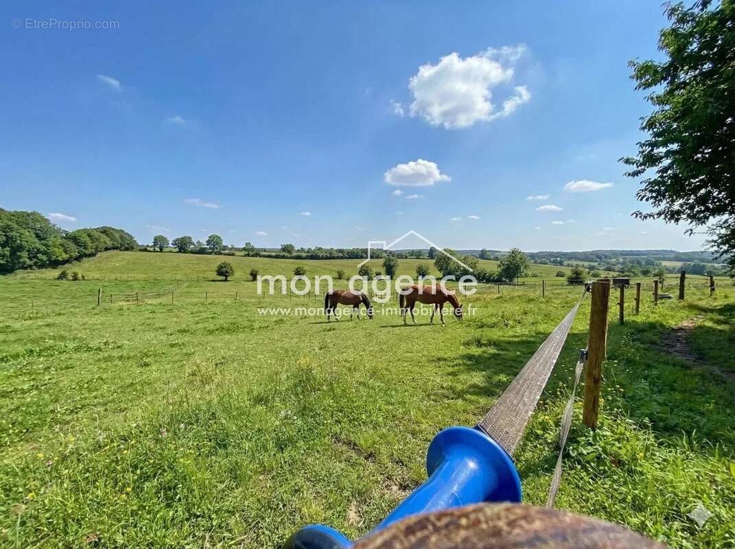 Maison à FORGES-LES-EAUX