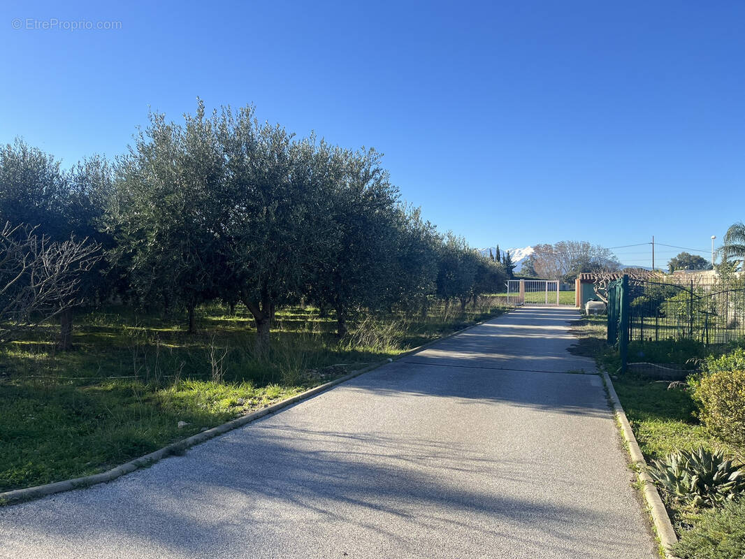 Terrain à PERPIGNAN