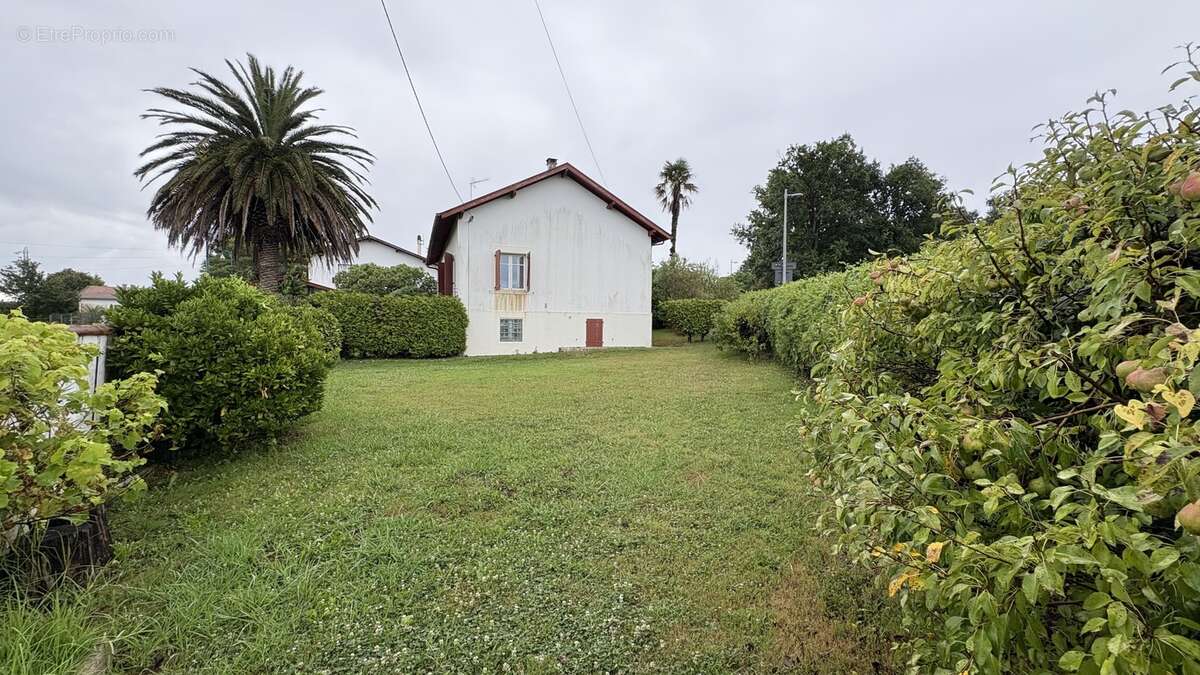 jardin - Maison à ARCANGUES