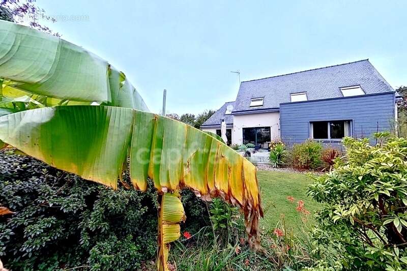 Maison à PLEUMEUR-BODOU