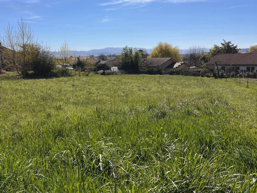 Terrain à SAINT-LAURENT-D'AGNY