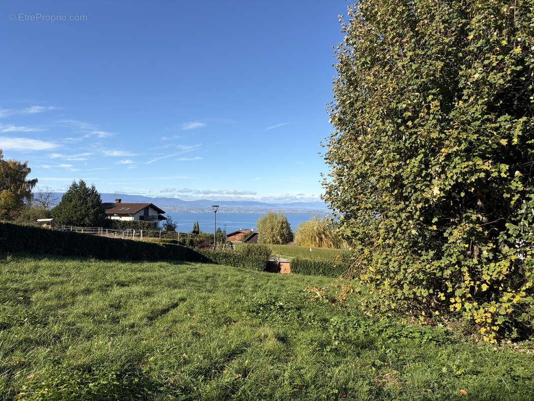 Terrain à NEUVECELLE