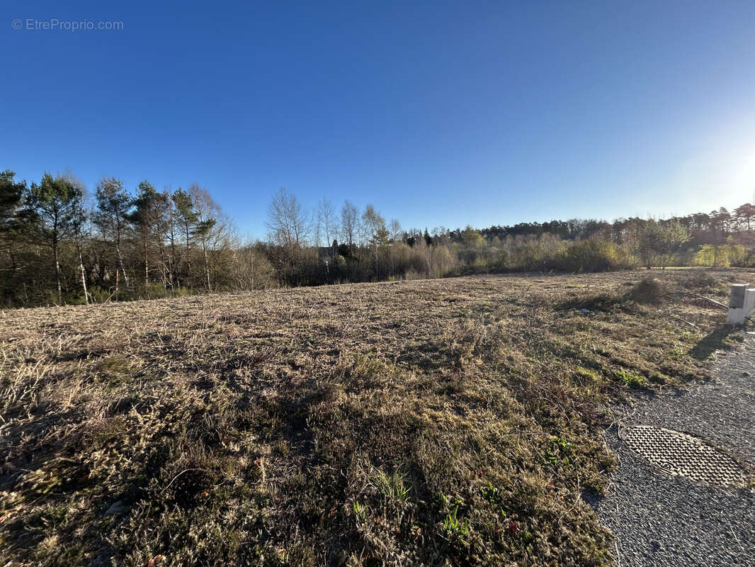 Terrain à SAINT-PRIEST-DE-GIMEL