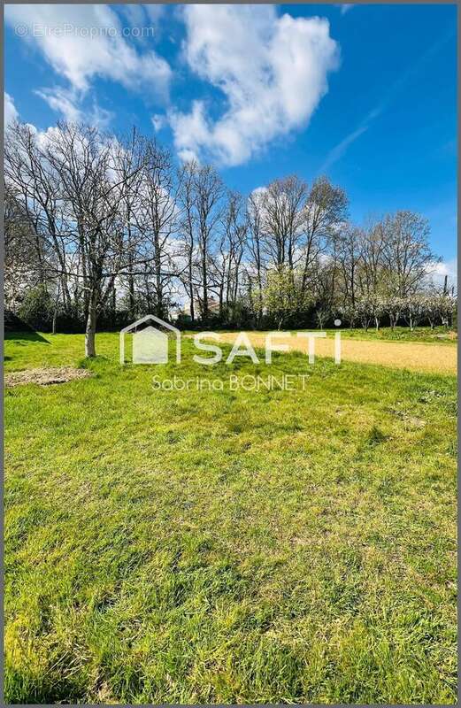 Photo 2 - Terrain à SALIGNY