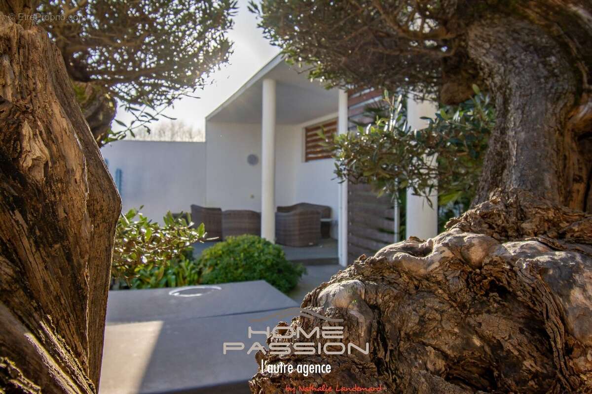 Maison à SAINT-PALAIS-SUR-MER