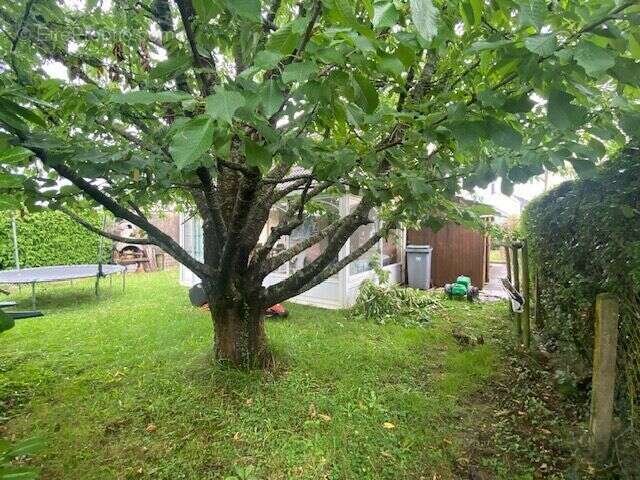 Photo 6 - Maison à ANGERVILLE-LA-CAMPAGNE