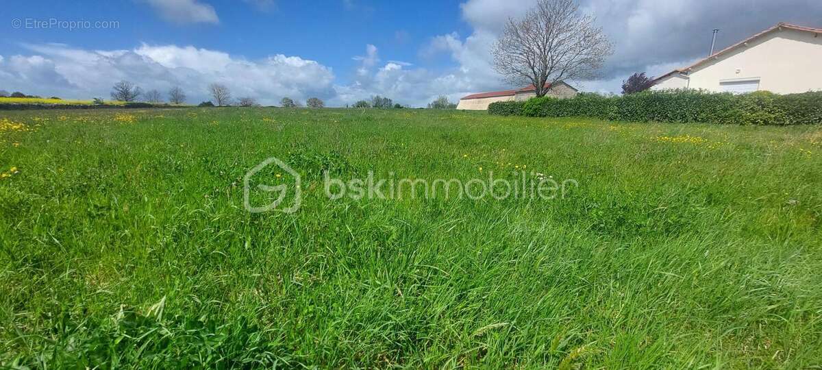 Terrain à bâtir de 4 100 m² - 4 LOGEMENTS minimum – Sainte-Ouenne (79) - photo 2