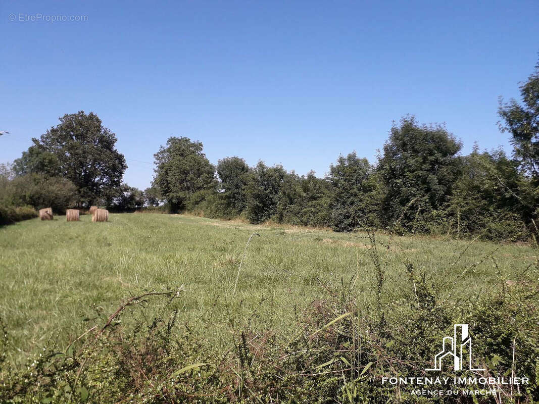 Terrain à VOUVANT