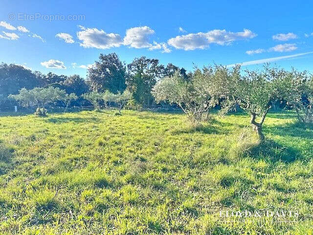 Terrain à UZES