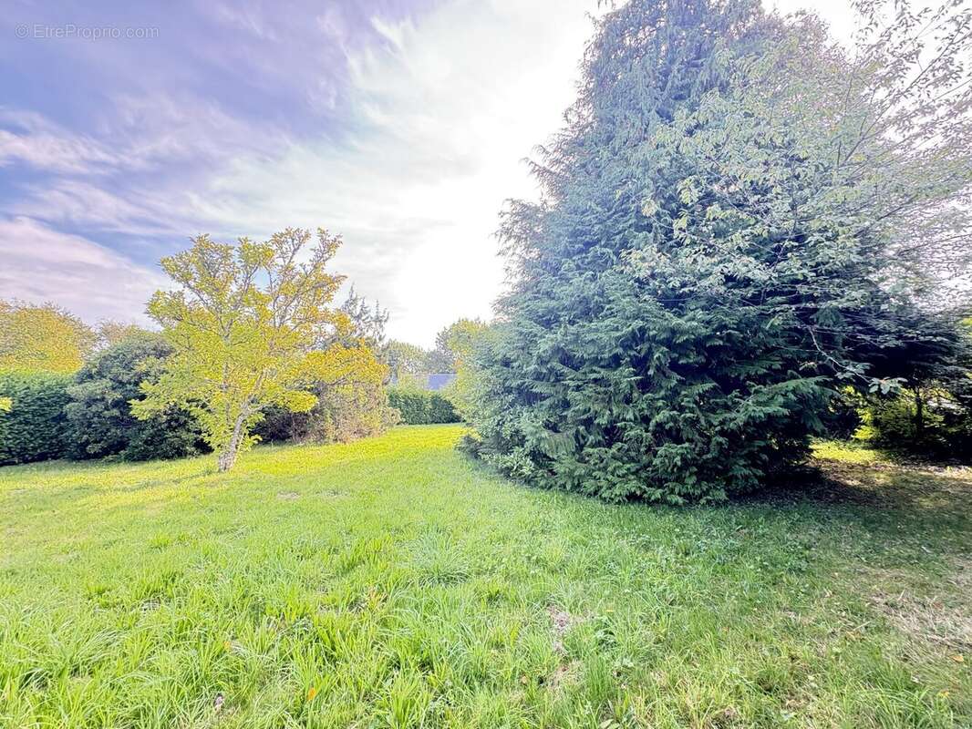 Terrain Grange - Maison à AURIAC