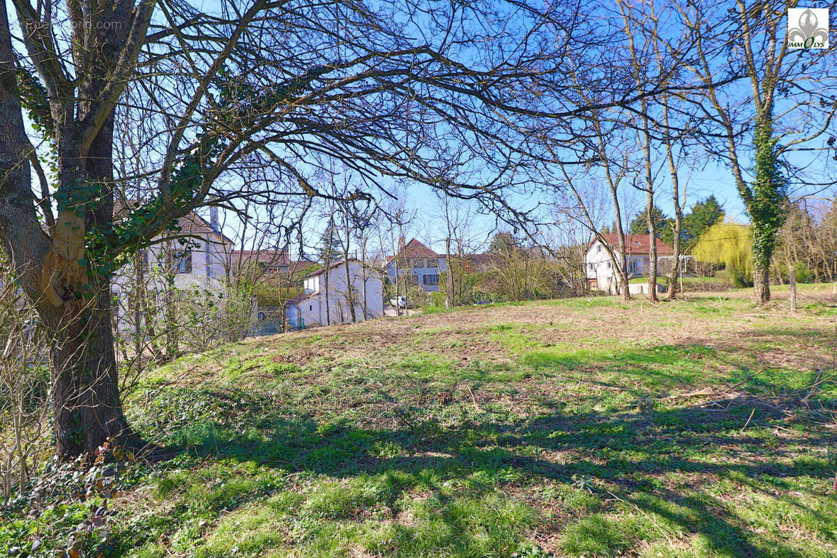 Terrain à AUVILLARS-SUR-SAONE