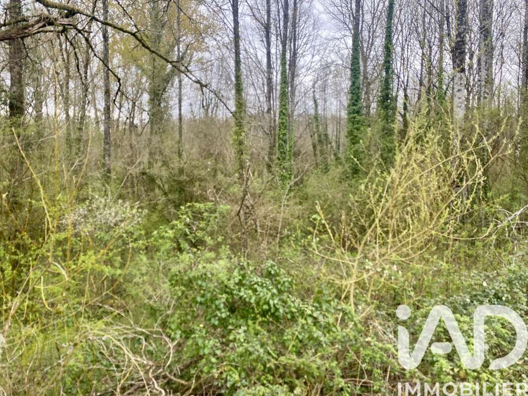 Photo 4 - Terrain à SAINT-ROBERT