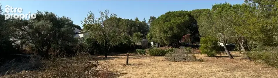 Terrain à BIZANET