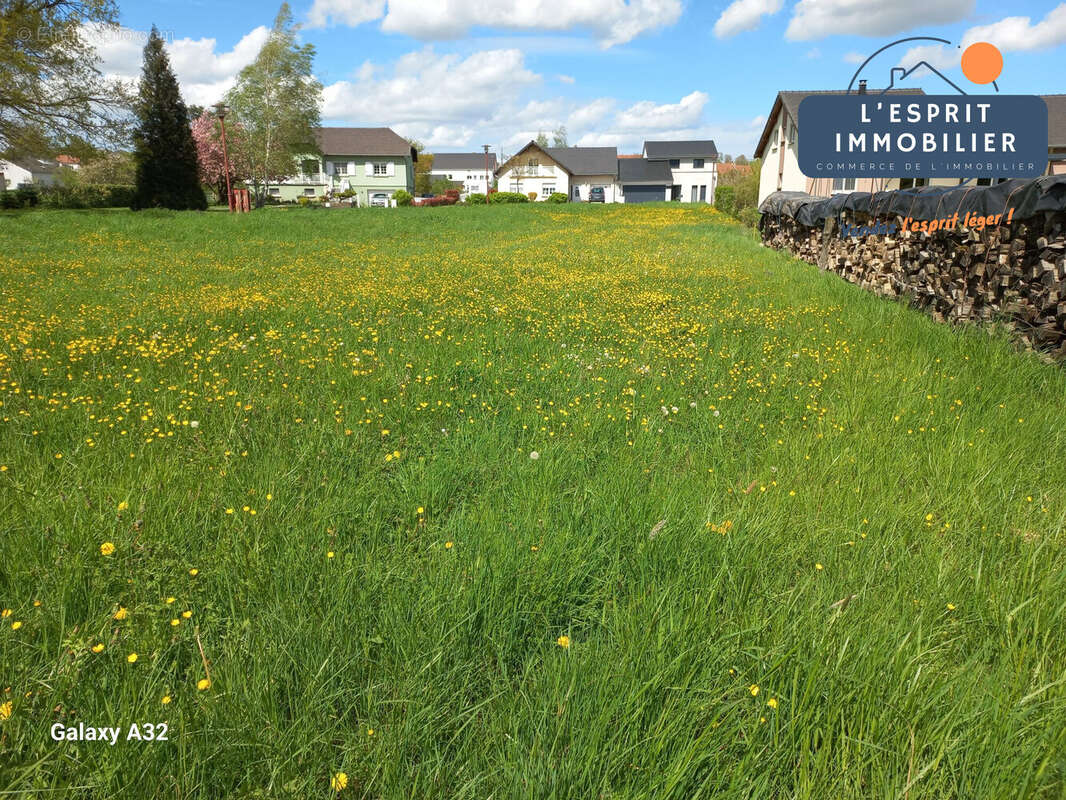 Terrain à GUESSLING-HEMERING