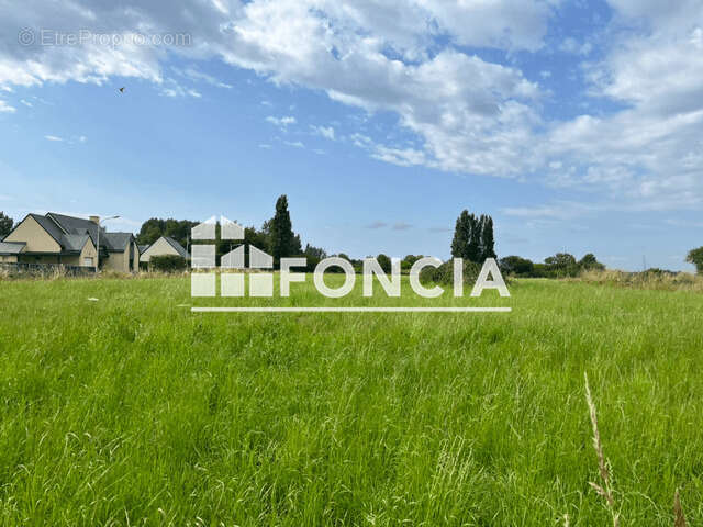 Terrain à LE VIVIER-SUR-MER