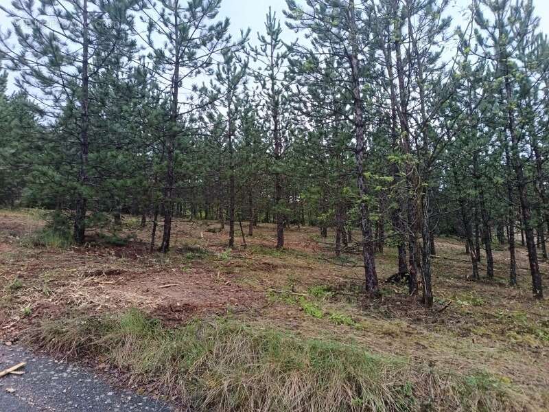 Terrain 400 m² à Mollans-Sur-Ouveze  - photo 3