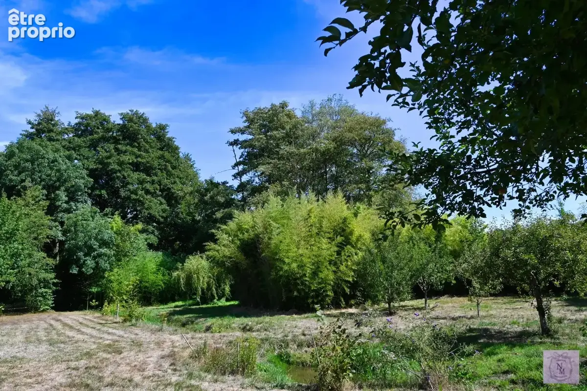 À vendre : maison de caractère avec B&B près d’Autun - photo 57