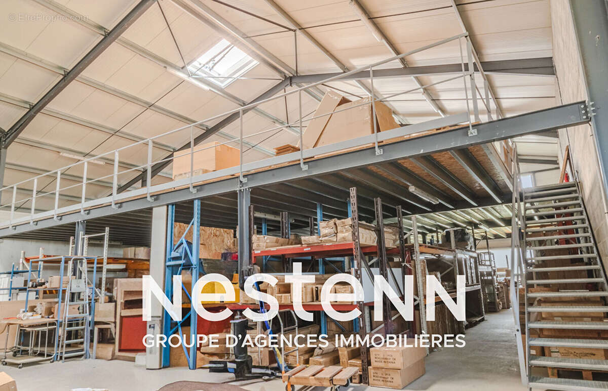 Commerce à PAMPELONNE