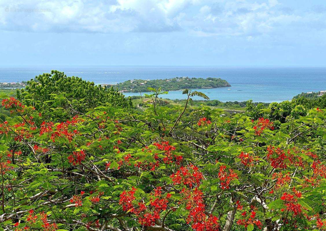 Maison à LE VAUCLIN