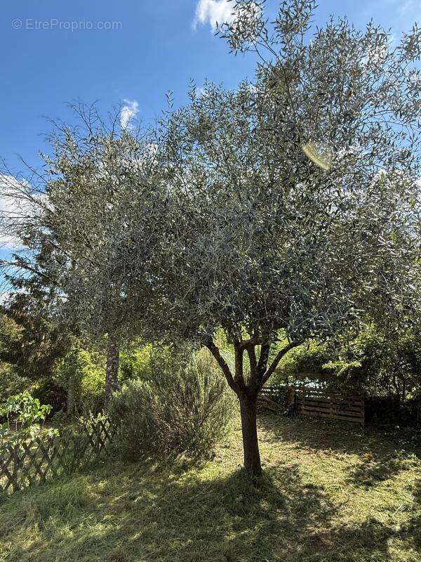 Maison Ribes 7 pièce(s) 177 m2 - photo 35