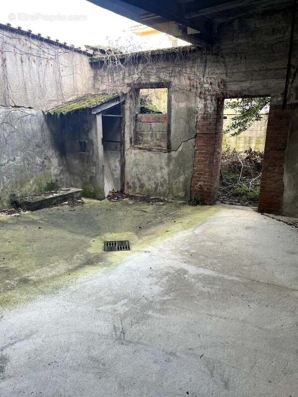 Photo 6 - Appartement à AMPUIS