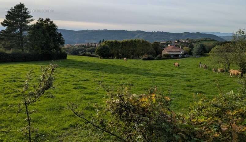 Terrain à LAVEYRON