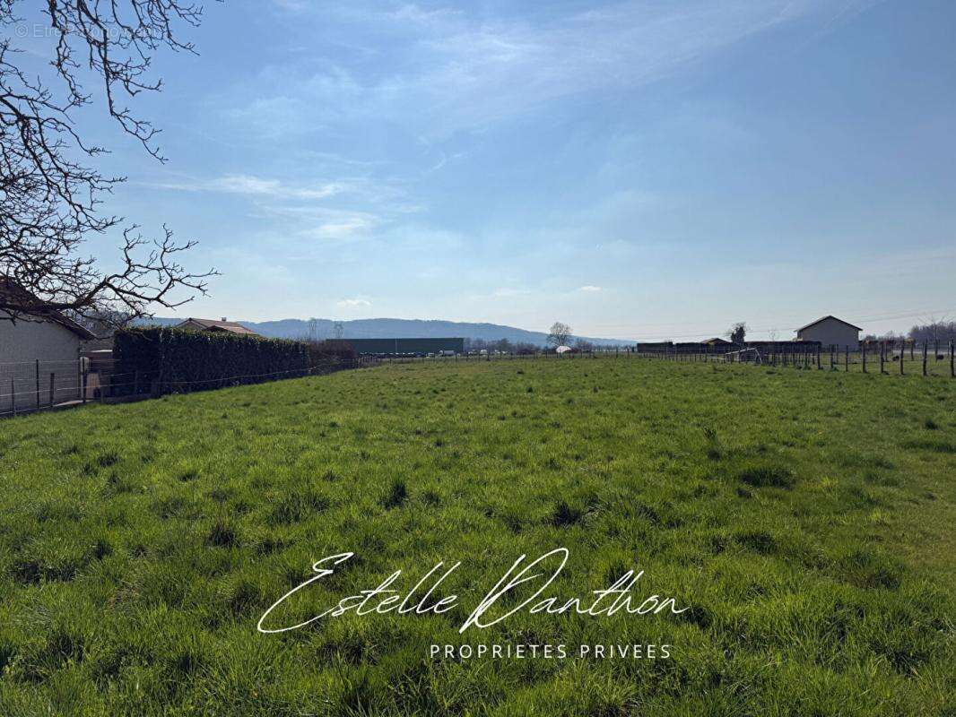 Terrain constructible 1617 m2 - photo 2
