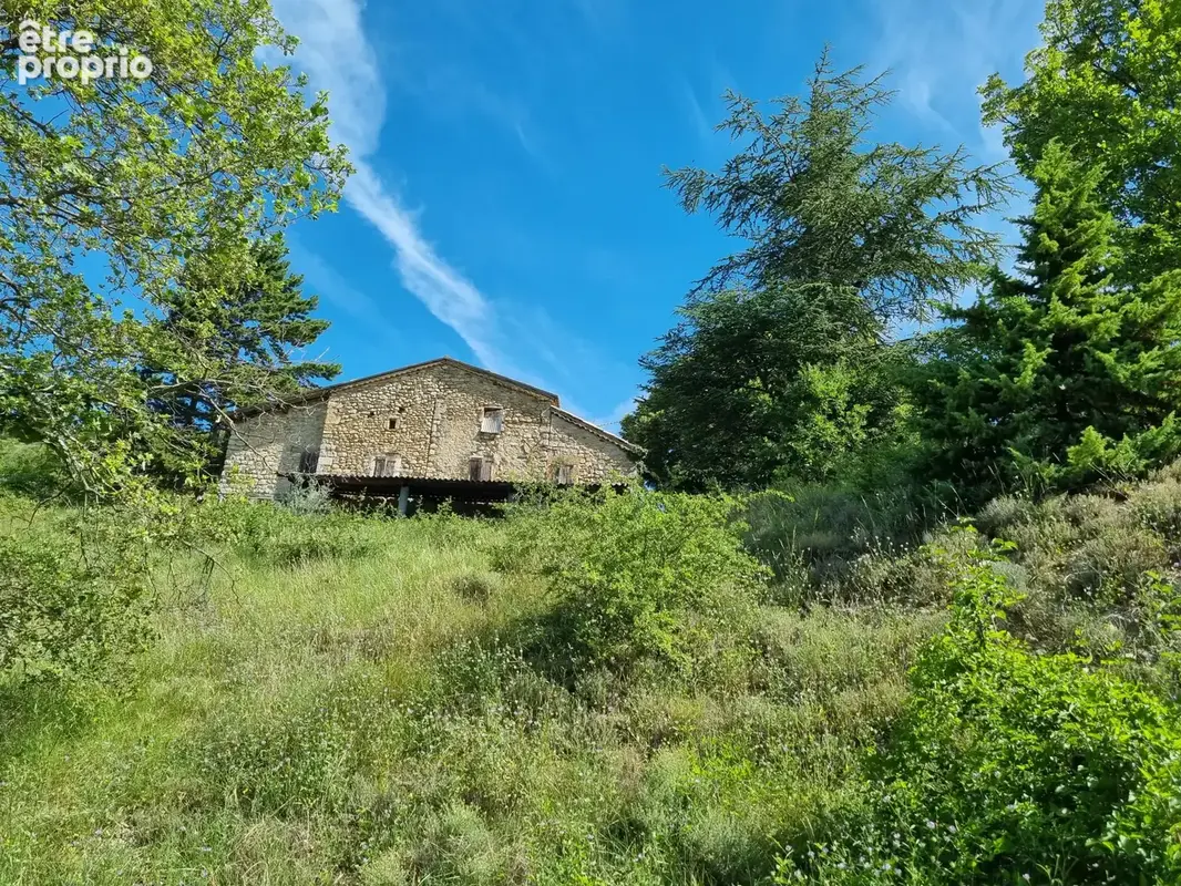 Maison ancienne à rénover sur 30 hectares environ - photo 16