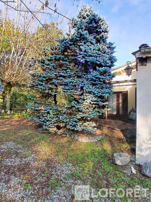 Maison à CARBON-BLANC