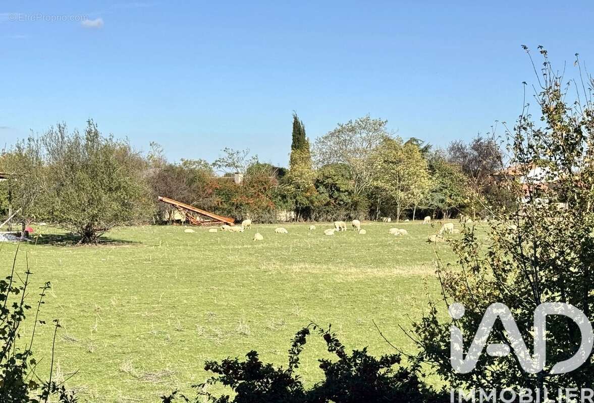 Photo 6 - Appartement à COLOMIERS