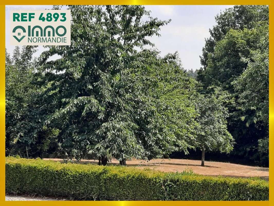 4893 - maison normande - 144 m² - parc de 8000 m² - photo 20
