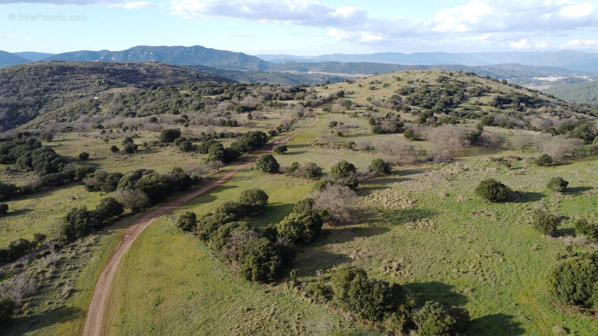 Terrain à CLERMONT-L&#039;HERAULT
