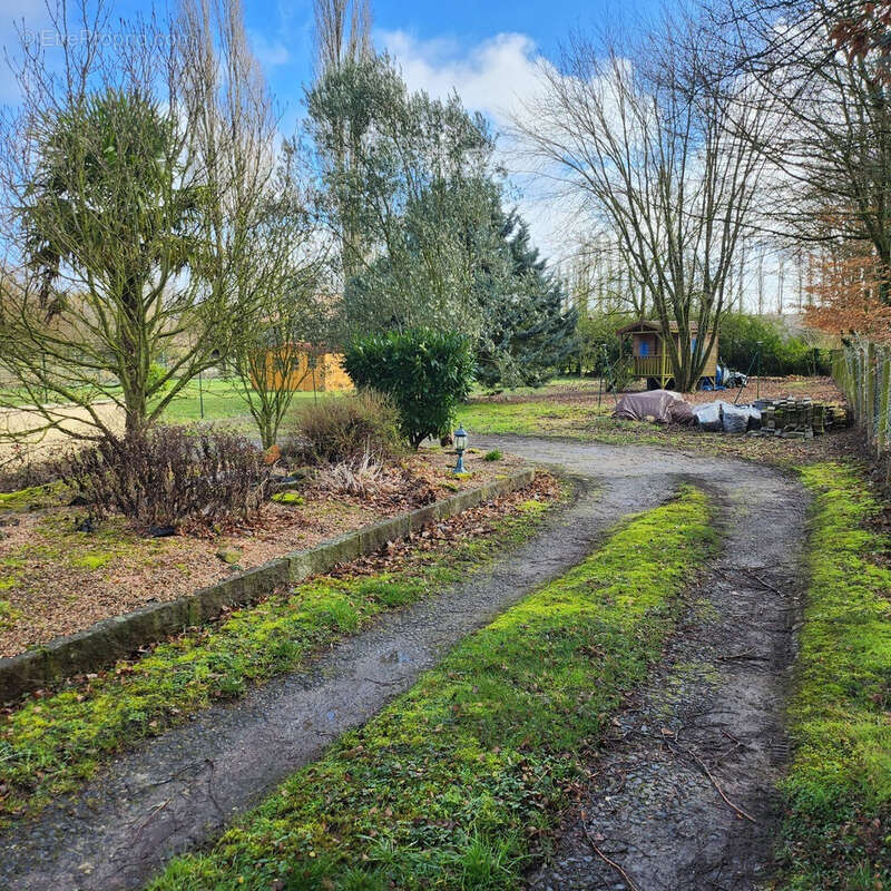 ???? Maison familiale spacieuse de 160m² 3 - Maison à LIEUVILLERS
