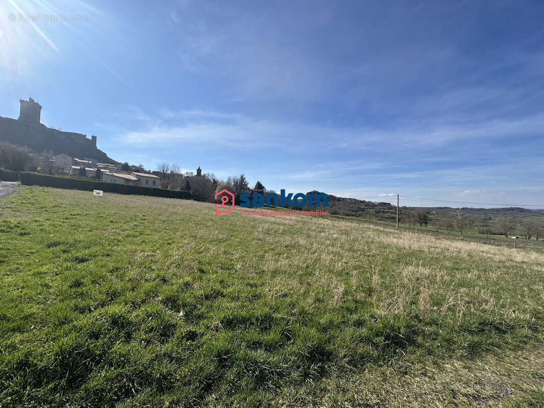 Terrain à POLIGNAC