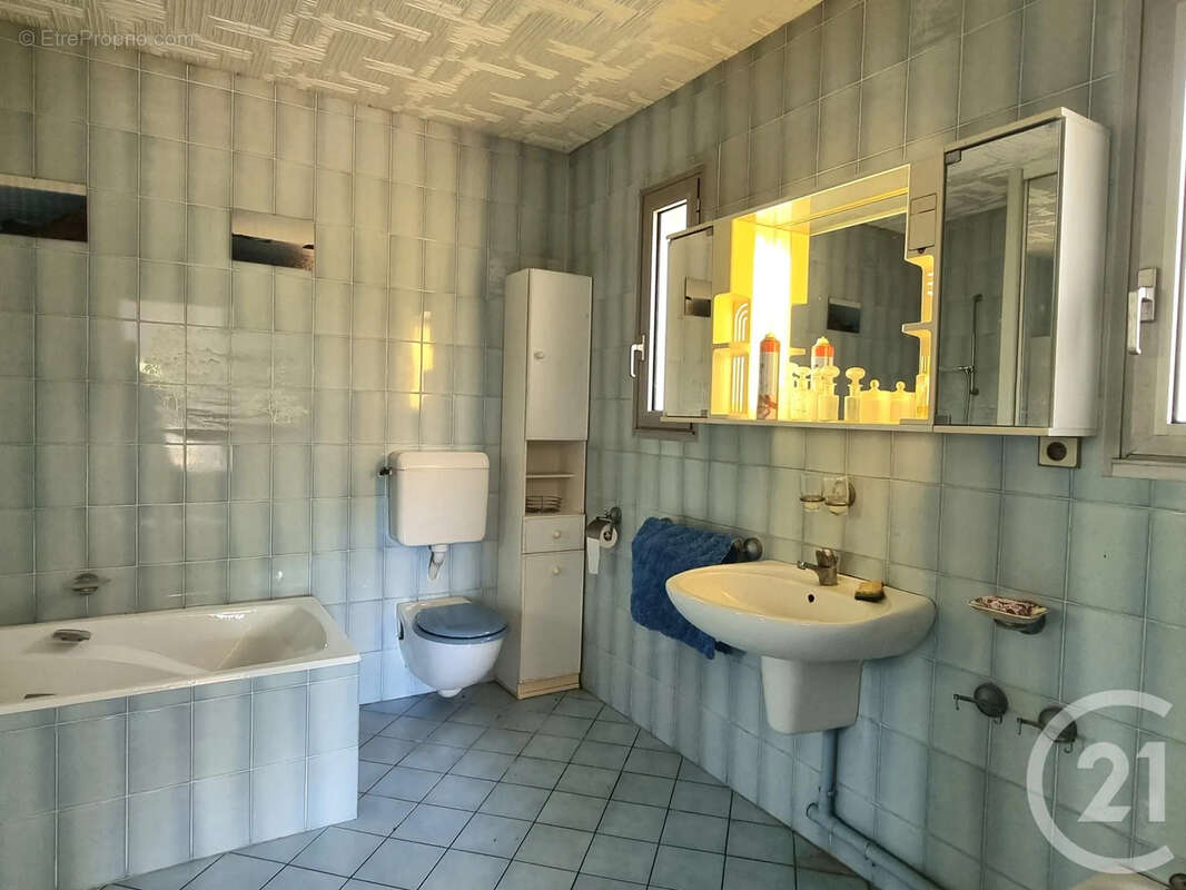 Maison 250 m² à Pouilly-Sur-Loire  - photo 10
