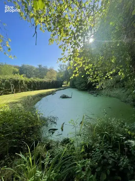 Propriété d’exception dans un cadre naturel préservé, entre Le Touquet et Montreuil-sur-Mer - photo 30