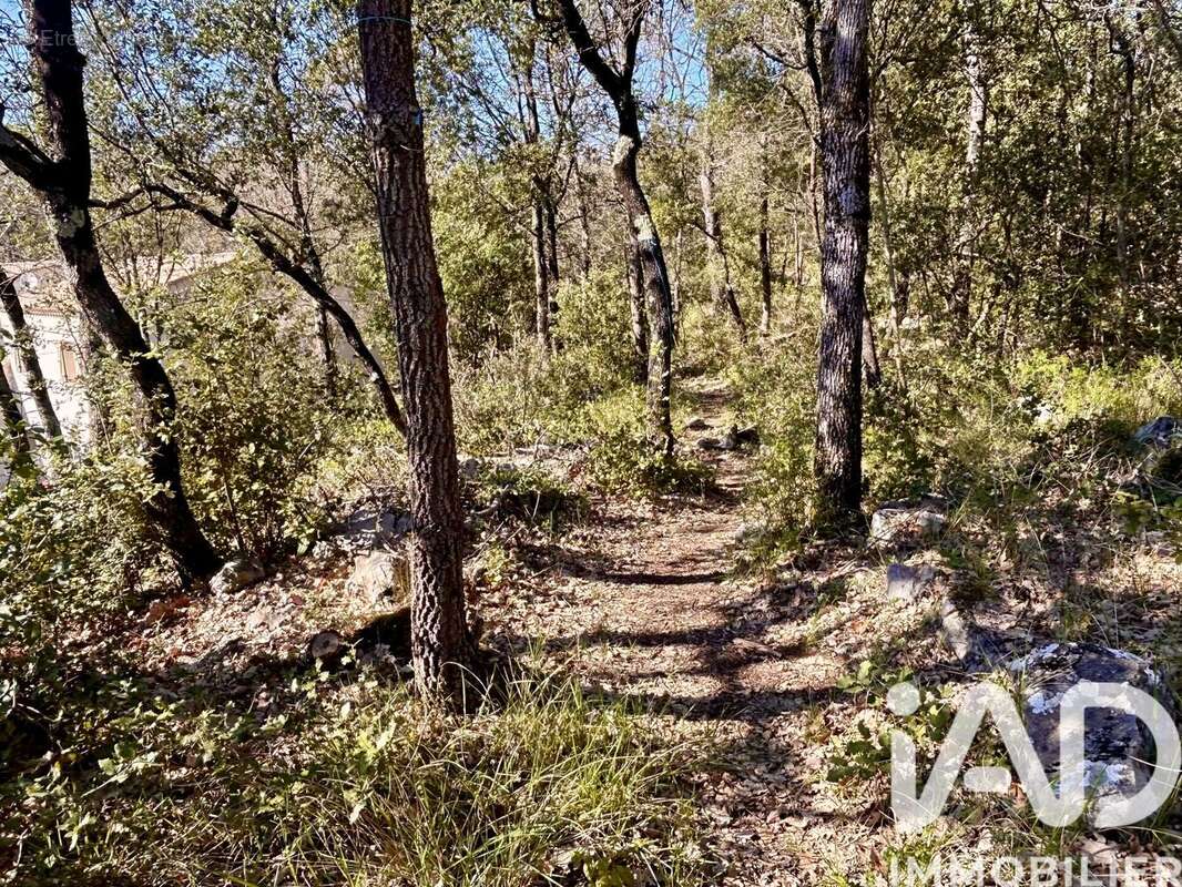 Photo 3 - Maison à SAINT-MAXIMIN-LA-SAINTE-BAUME