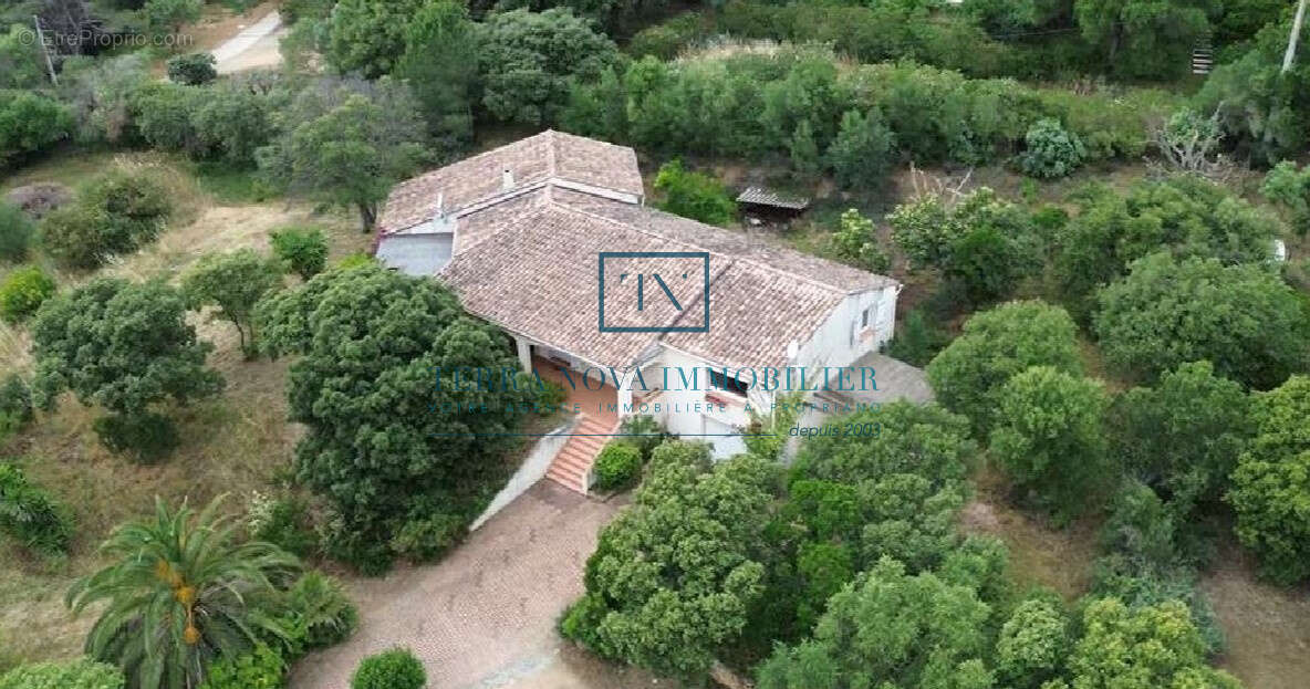 Maison à OLMETO