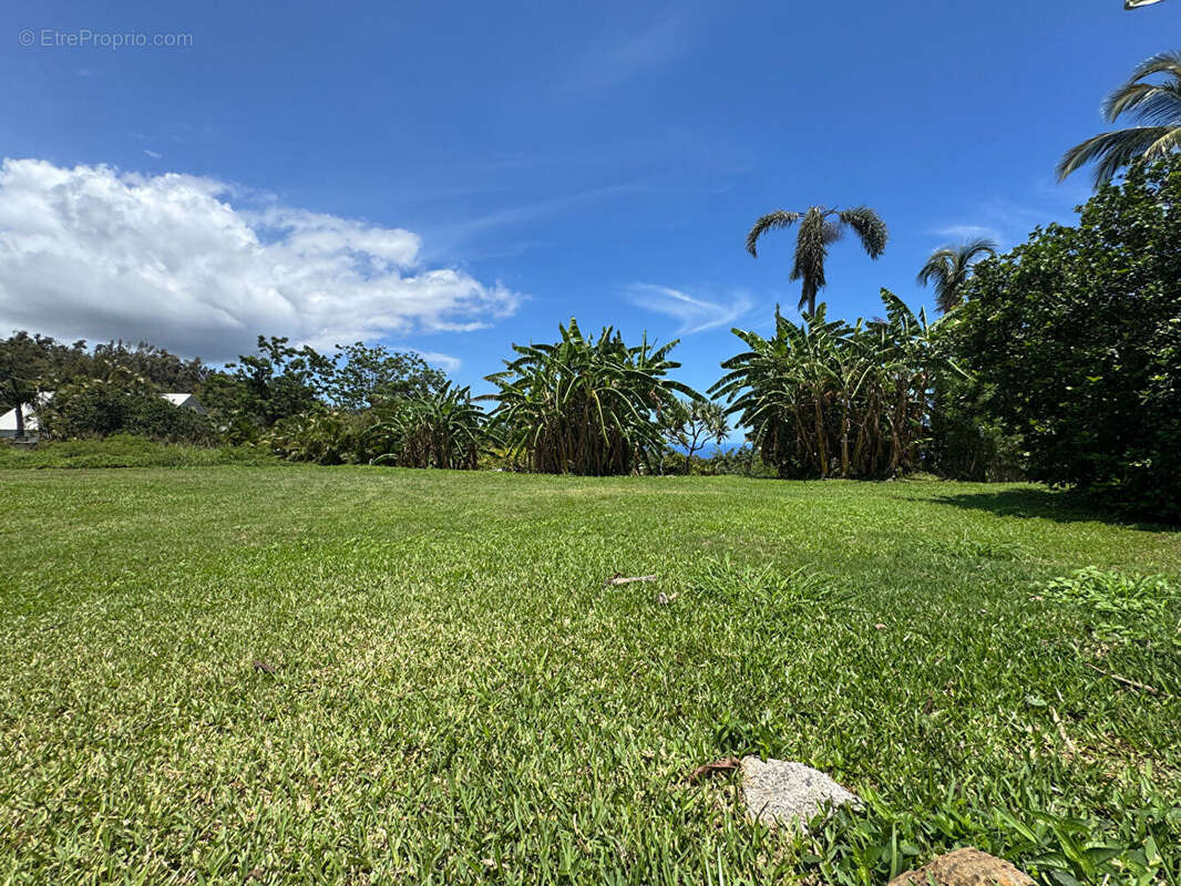 Terrain à SAINT-DENIS
