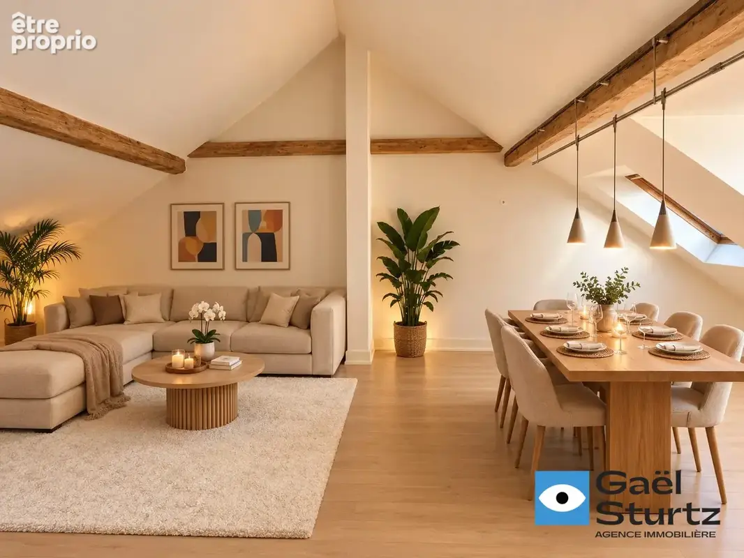 Photo Appartement à Strasbourg au prix de 300 000€