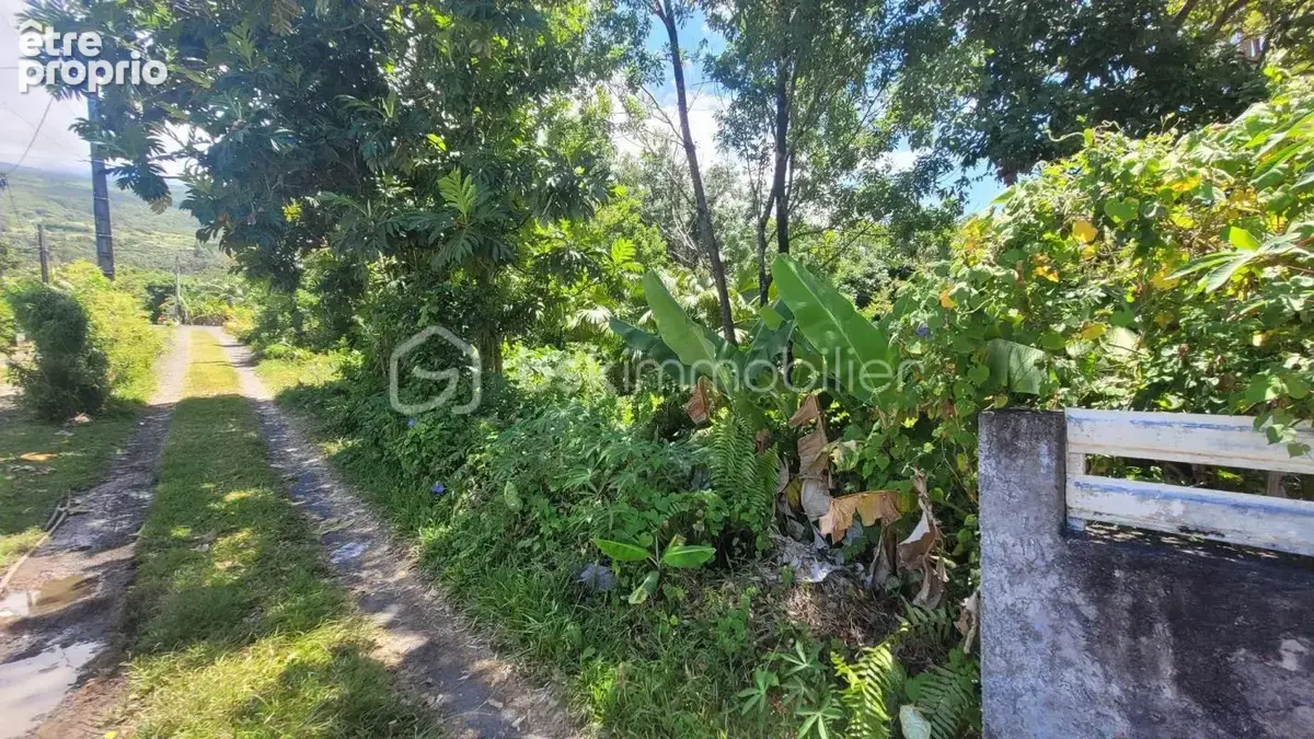 Vente Terrain Constructible de 778 m² Le Baril - Saint-Philippe - photo 3