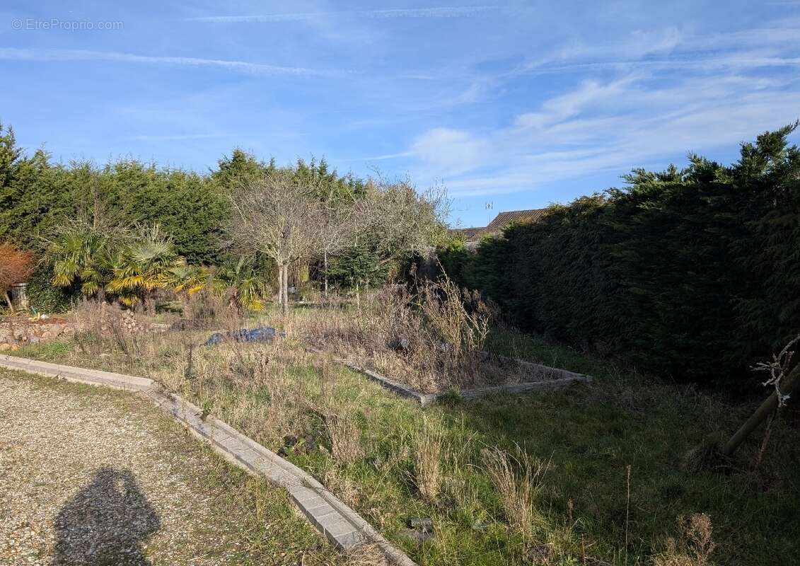 Terrain à FORT-MAHON-PLAGE