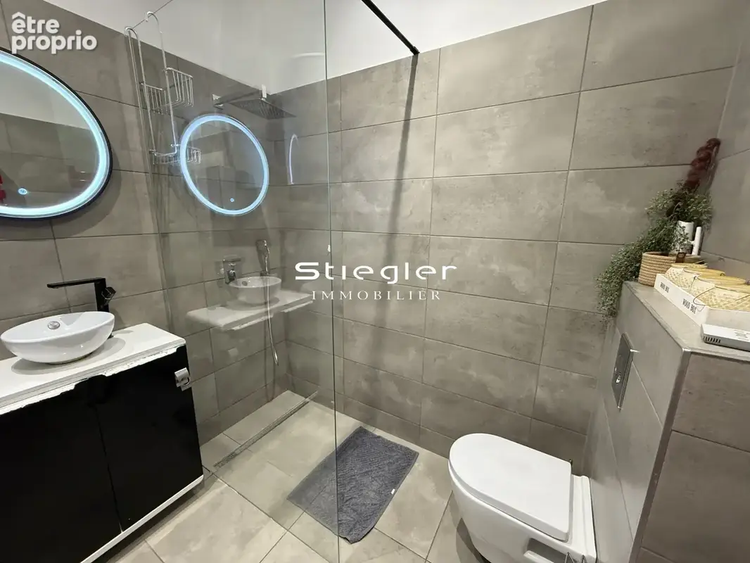 Appartement 2 - Bloc sanitaire (Vasque, douche Italienne, WC)