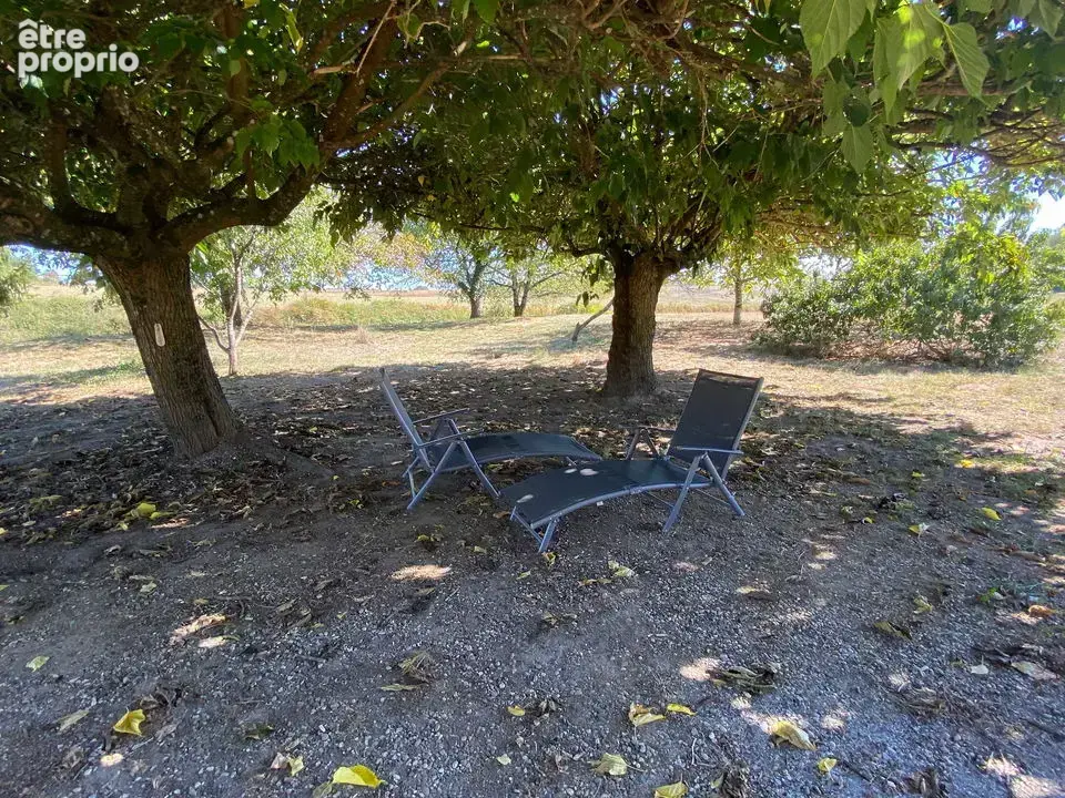 Ferme landaise en pierres 116m² - Dépendance + chai - Terrain - photo 27