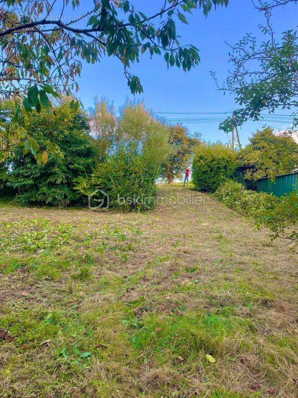 Terrain à PLOMODIERN