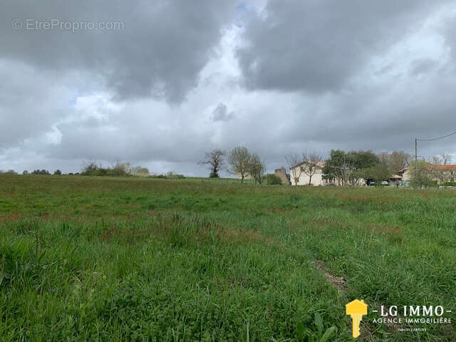 Terrain à SAINT-BONNET-SUR-GIRONDE