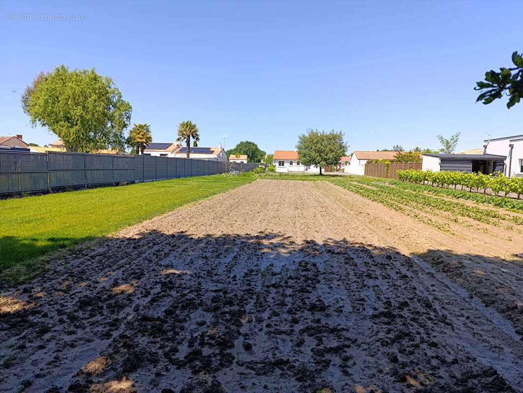 Terrain à SAINTE-FLAIVE-DES-LOUPS