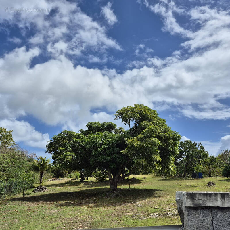 Terrain à ANSE-BERTRAND